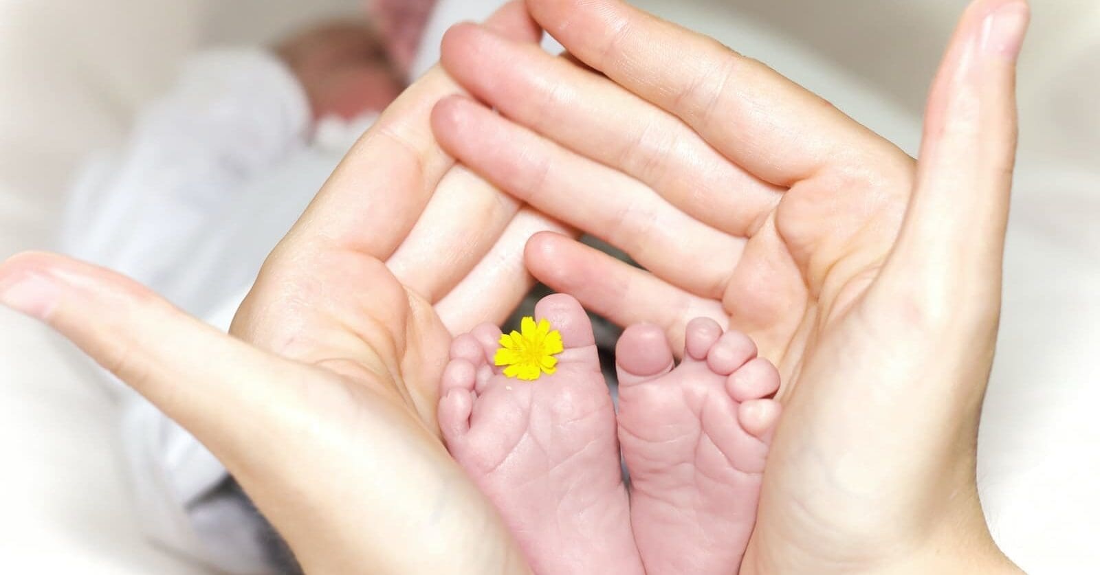 person holding baby's toe with yellow petaled flower in between