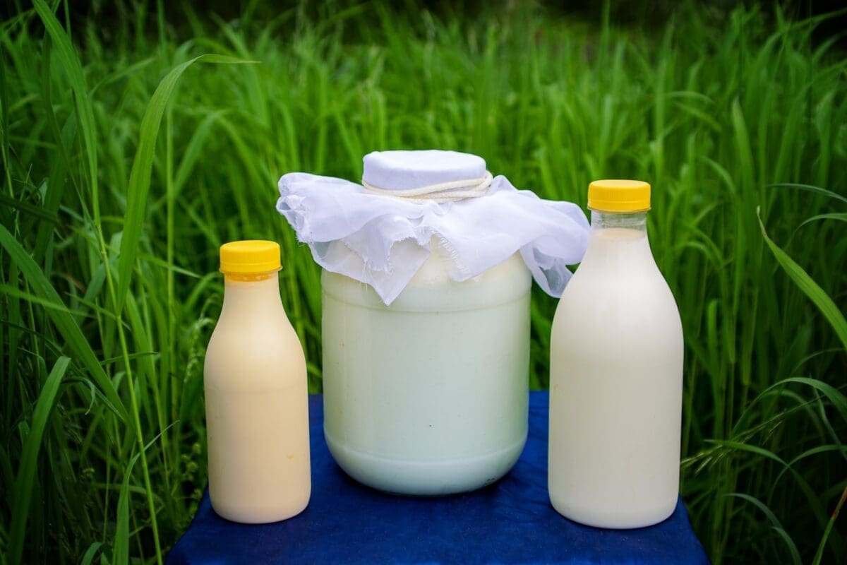 Picture of milk bottles in a grass field
